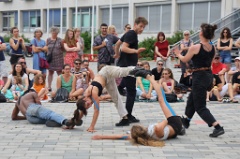 Fievre 024 * 6000 x 4000 * (7.93MB)